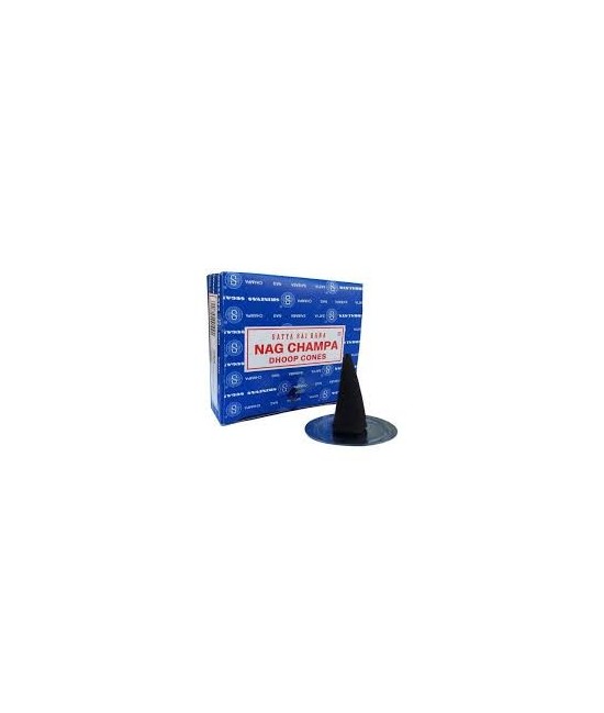IN.SATYA CONO NAG CHAMPA