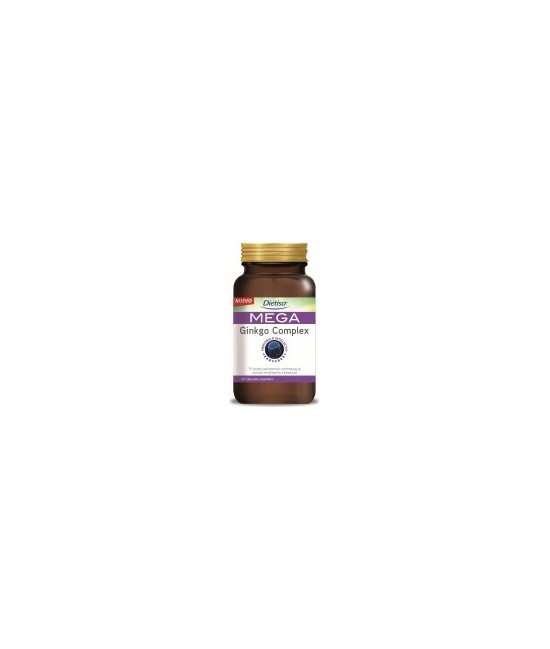 INGREDIENTES
Citrato de colina, agente de carga: celulosa microcristalina, extracto seco de Ginkgo estandarizado al 24% de glu