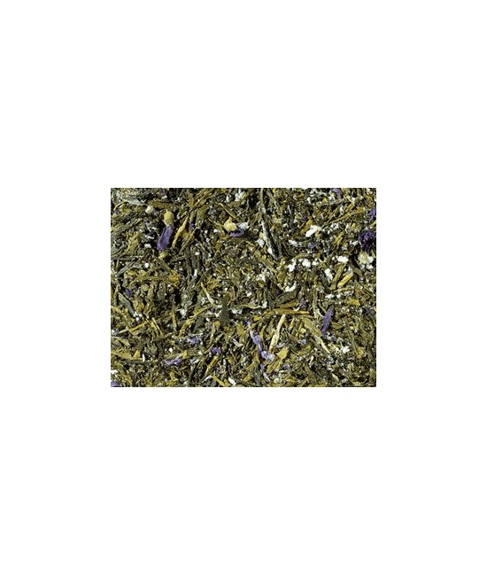 Té verde (93 %), polvo de kombucha (maltodextrina, azúcar, agua, mezcla de hierbas (hojas de mora, frambuesa, y fresa, limoncil