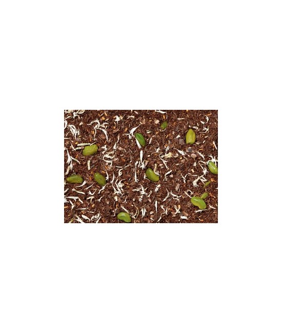 té Rooibos, cáscara de cacao, pistacho, aroma, flores de aciano blanco