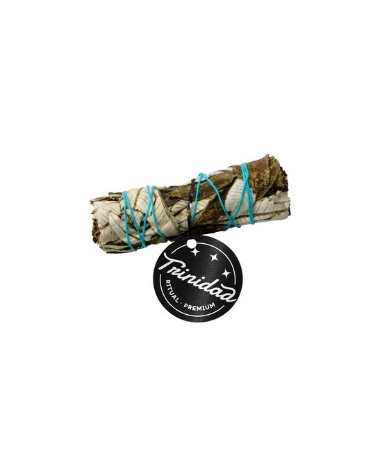 YERBA SANTA CALIFORNIA 20-25 GR.10 CM.