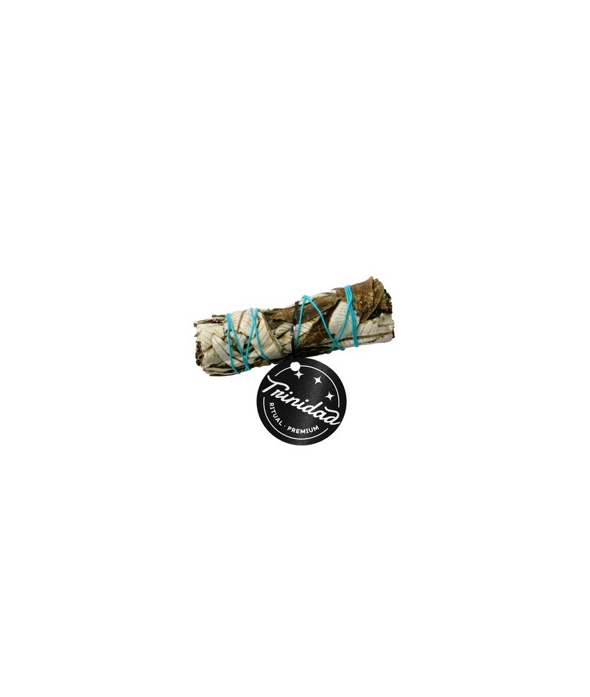 YERBA SANTA CALIFORNIA 20-25 GR.10 CM.