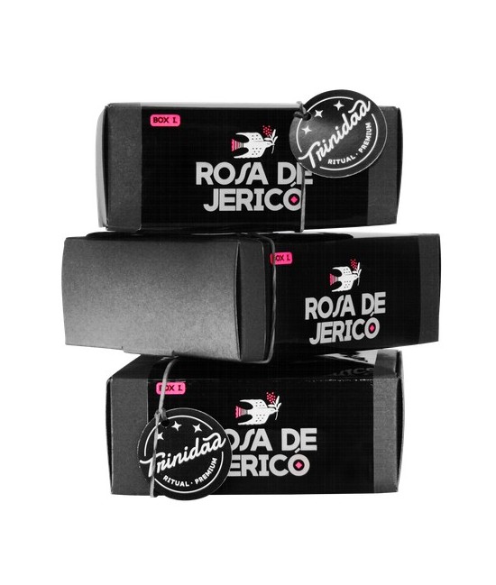 rosa de jerico