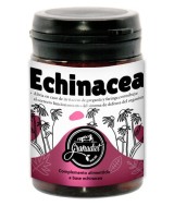 GR.COMPRIMIDOS ECHINACEA 60 COMP. 500Mg.