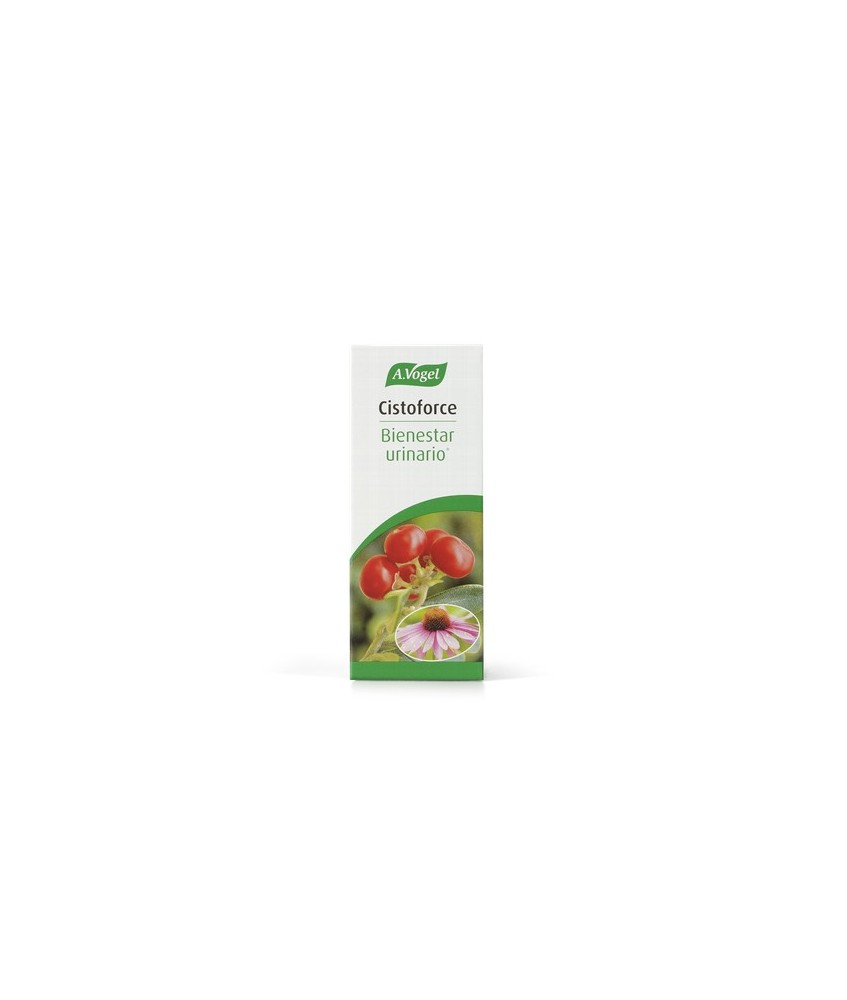 índice
Composición
Modo de empleo
Presentación
Composición
120 gotas contienen:

Gayuba: 1300 mg

Equinácea: 338 mg
