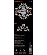 TRI.BOX4 SALVIAS EXOTICAS 3 SURTIDO