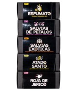 TRI.TRINIDAD BOX