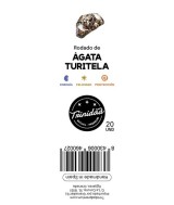 TRI.PAQUETE AGATA TURRITELA  20 UNIDADES