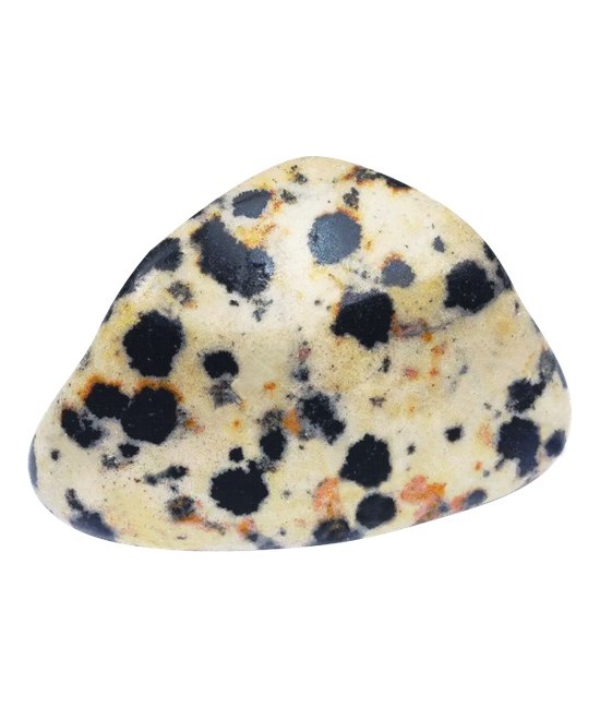 TRI.PAQUETE JASPE DALMATA 20 UNIDADES