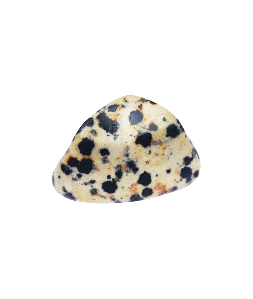 TRI.PAQUETE JASPE DALMATA 20 UNIDADES