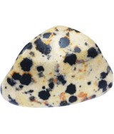 TRI.PAQUETE JASPE DALMATA 20 UNIDADES