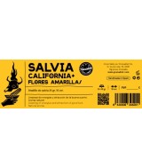 TRI.SALVIA CALIFONIA + FLORES AMARILLAS