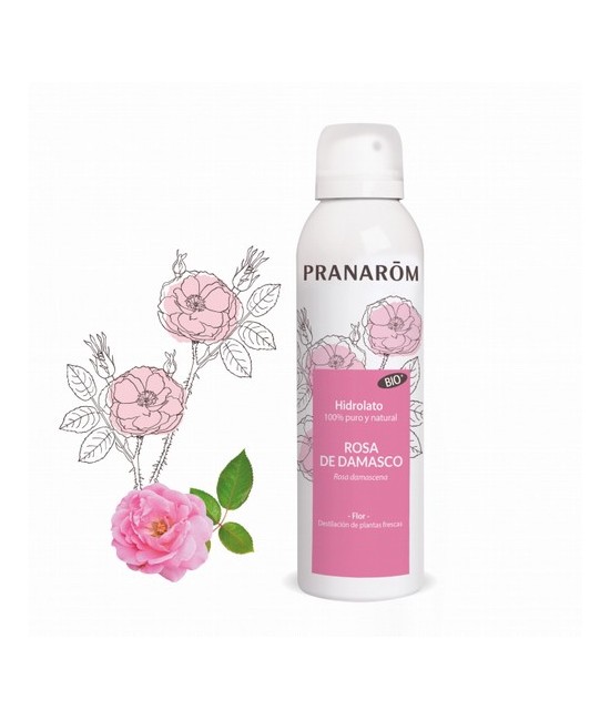 Rosa damascena - Destilación de plantas frescas
El hidrolato de rosa de Damasco es ideal :
En el cuidado de la piel: este hid
