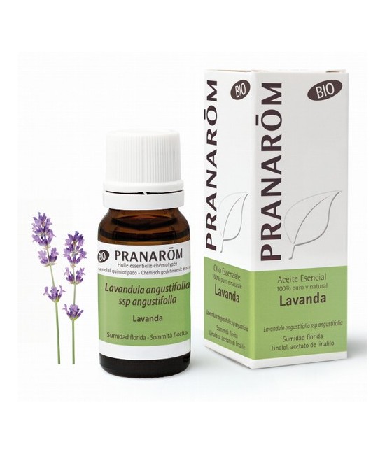 Lavandula angustifolia
La lavanda es un hito en la aromaterapia moderna. Su perfecta inocuidad y su excelente tolerancia, comb