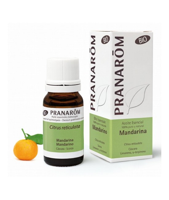 Citrus reticulata
Este pequeño árbol de hojas resistentes y brillantes presenta flores blancas perfumadas y un fruto naranja. 