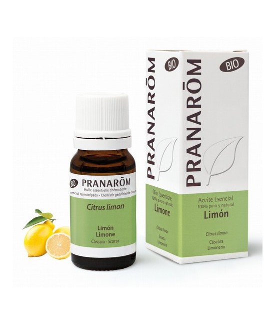 Citrus limon
Originario de la India y cultivado en el sur de Europa y en California, el limón es uno de los frutos más útiles 