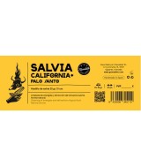 TRI.SALVIA CALIFORNIA+ PALO SANTO 10 CM.