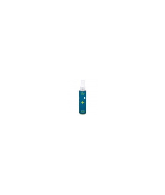Gracias a su fórmula activa antibacteriana con Zinc, previene el mal olor corporal de forma fiable y duradera.

El Aloe Vera,
