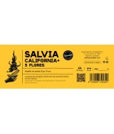 TRI.SALVIA CALIFORNIA 3 FLORES 25 GR. 10 CM
