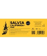 TRI.SALVIA CALIFORNIA PINO 25 GR. 10 CM.
