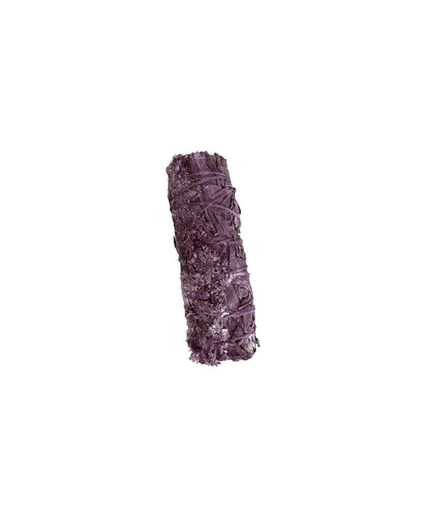 TRI.SALVIA CALIFORNIA PURPURA 25 GR. 10 CM