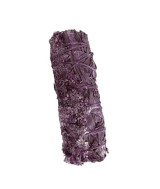 TRI.SALVIA CALIFORNIA PURPURA 25 GR. 10 CM