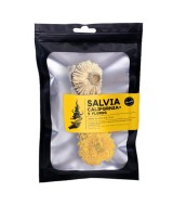 TRI.SALVIA CALIFORNIA 3 FLORES 25 GR. 10 CM
