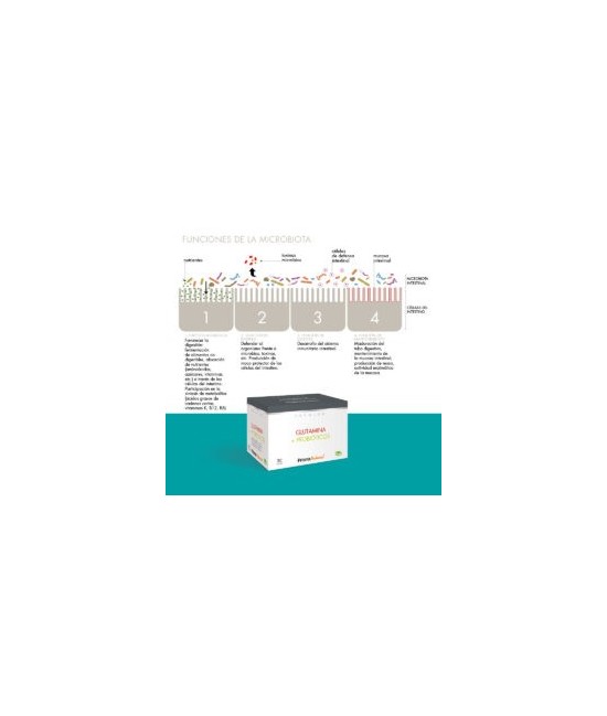 PR.GLUTAMINA + PROBIOTICO 30 STICK