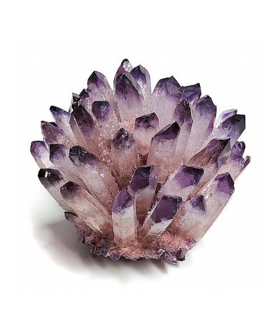 Flor Punta Amatista.

Medidas: 7-8 cm aprox.

Peso: 100-150 gramos aprox.

PRECIO POR UNIDAD