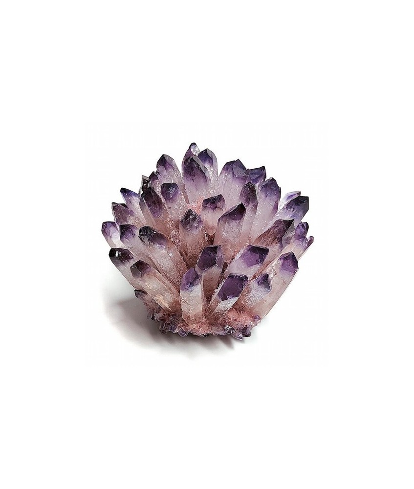 Flor Punta Amatista.

Medidas: 7-8 cm aprox.

Peso: 100-150 gramos aprox.

PRECIO POR UNIDAD