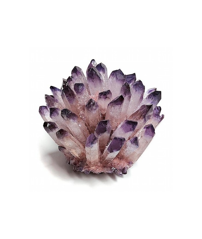 Flor Punta Amatista.

Medidas: 7-8 cm aprox.

Peso: 100-150 gramos aprox.

PRECIO POR UNIDAD