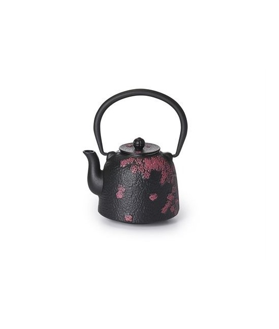 DB.TETERA HIERRO NEGRA FLORES CHUN 0,5 L.