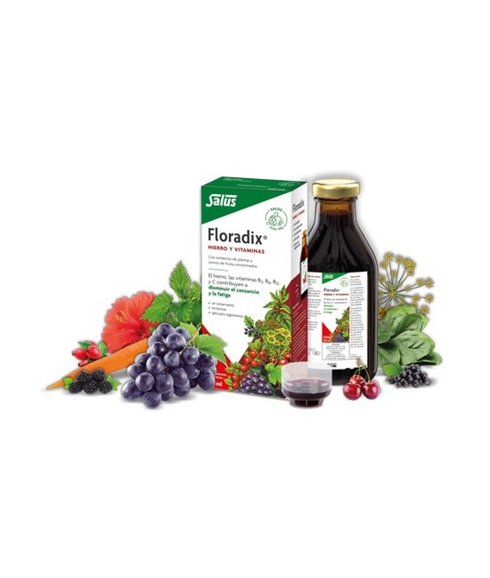 Floradix
HIERRO Y VITAMINAS
Con extractos de plantas y zumos de fruta concentrados
Floradix contiene hierro, vitaminas B2, B