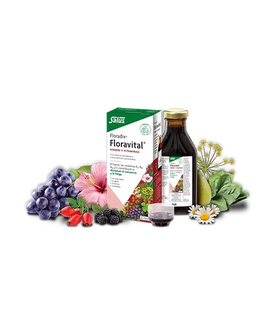 Floradix-Floravital
HIERRO Y VITAMINAS
El hierro y las vitaminas B2, B6, B12 y C contribuyen a disminuir el cansancio y la fa