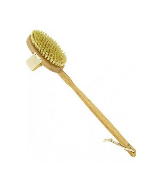 Cepillo corporal de madera de haya proporciona una exfoliación suave  profunda y favorece la circulación.

Ayuda a eliminar l