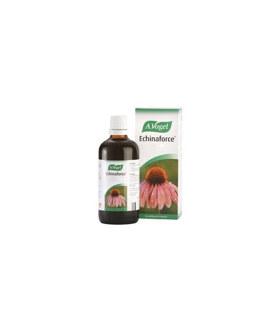En los años 50 del s.XX, Alfred Vogel conoció de la mano de Alce Negro, jefe sioux, los beneficios de la Echinacea. Llevó sus s