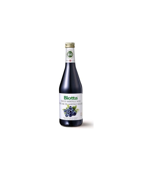 El mirtilo o arándanos es reconocido desde la antigüedad como una baya deliciosa y apreciada por sus cualidades y por su extrao
