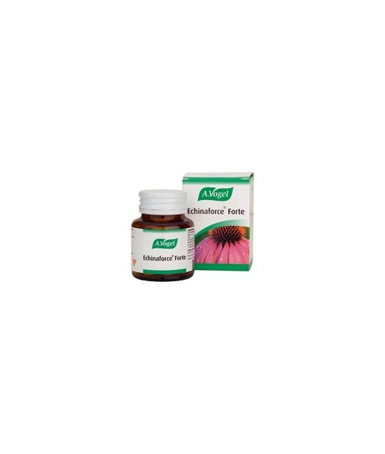 En los años 50 del s.XX, Alfred Vogel conoció de la mano de Alce Negro, jefe sioux, los beneficios de la Echinacea. Llevó sus s