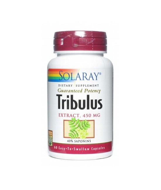 Vitamina C -1000 mg. - 100 tablites Acción Retardada

Descripción
Tablite de acción retardada en dos etapas. El 50% del pro
