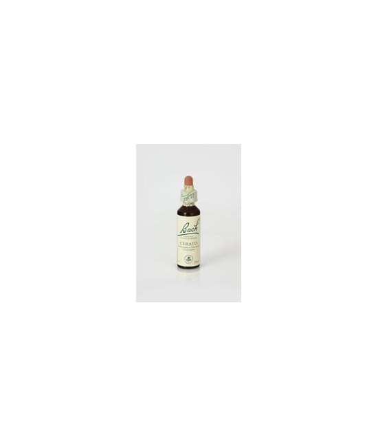 Contenido: 
Frasco de cristal de 20ml con gotero.
Composición: 
Disolución acuosa de Ceratostigma willmottiana, alcohol de u