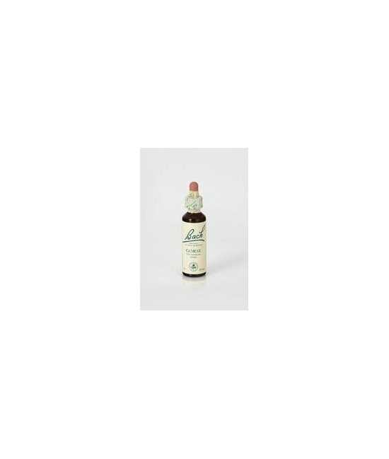 Contenido: 
Frasco de cristal de 20ml con gotero.
Composición: 
Disolución acuosa de Ulex europaeus, alcohol de uva.
Modo d