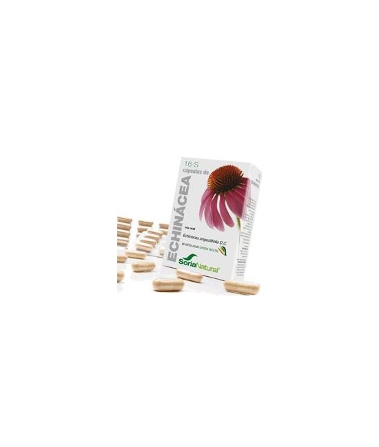 *Echinacea angustifolia D.C. (raíz).

Derivados caféicos..................0,9 mg; ( 0,15 mg / cápsula).

Flavonoides ( ácid