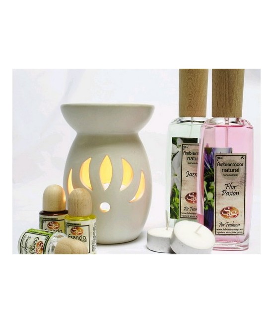 SS.AMBIENTADOR SPRAY ALOE VERA 100 Ml.